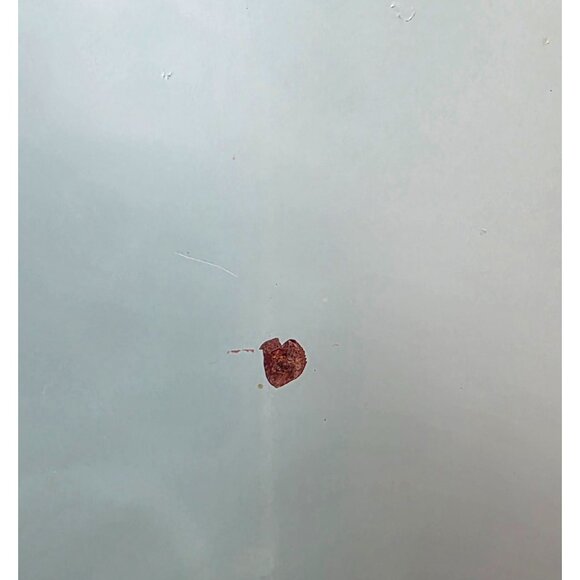 Vintage Turquoise Wheat Motif Enamel Serving Tray With Copper Handles - Picture 10 of 10